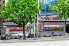 24시독스동물병원