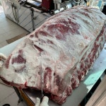 강남한우식육식당