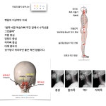 심신활가 체형교정운동센터