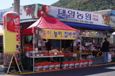 대양농원