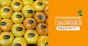 달콤농장