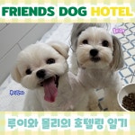 프렌즈도그 호텔 광주 서구점