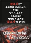 솔찬제주뒷고기 초지점