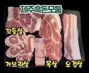 솔찬제주뒷고기 초지점