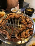 닥터구이