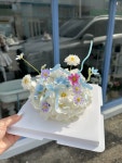 리리플레르