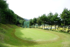 필그린par3골프
