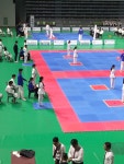 신화정태권도