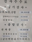 1급논현현대기아모터스