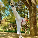 용인대 명성태권도