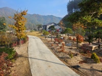 도담조경