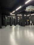제주 서귀포 동홍동 싸이코핏불스