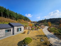 도담토목이앤시 | 도담조경