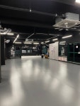 제주 서귀포 동홍동 싸이코핏불스