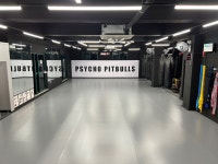 제주 서귀포 동홍동 싸이코핏불스