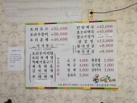 초원생오리