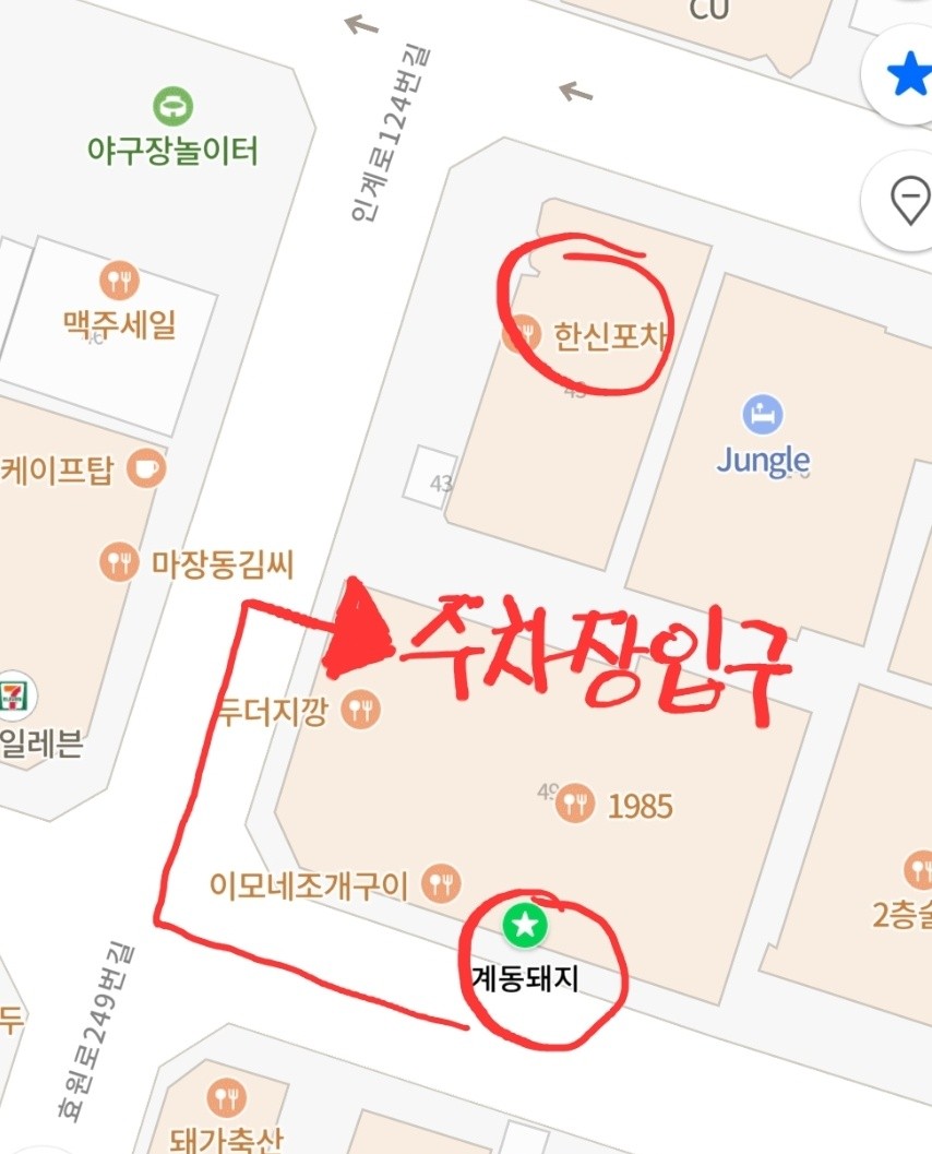 49돼지 이미지
