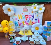 왈왈 애견유치원&호텔