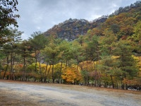 리버힐즈캠핑장