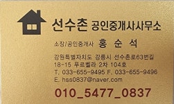 선수촌공인중개사사무소