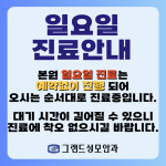 그랜드성모안과의원