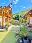 풍경의 아침