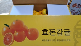 VIP한라봉농장
