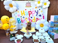 왈왈 애견유치원&호텔