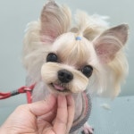 때빼고 광나개
