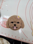 댕댕미식회