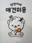 댕댕이네애견미용