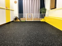 애견호텔 지지밍고