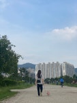 바르다독