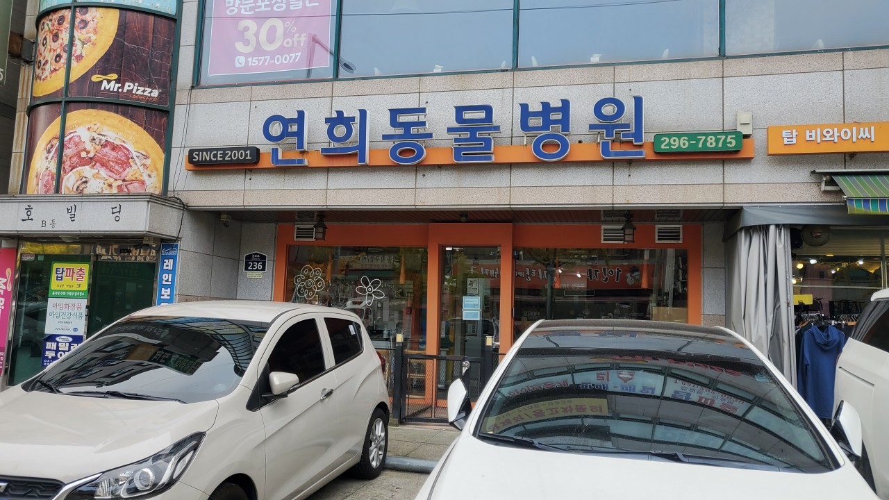 연희동물병원