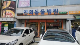연희동물병원