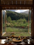 รูปภาพผลการค้นหา Naver 4
