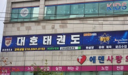 고려대호태권도