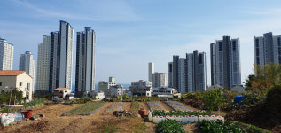 미나리부동산공인중개사무소