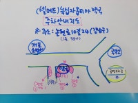 셀메드 녹십자옵티마약국