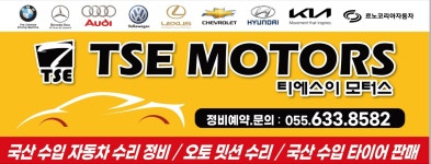 티에스이 모터스