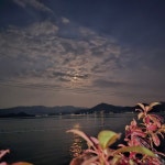 산달도위시펜션