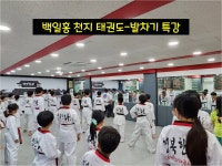 백일홍천지태권도