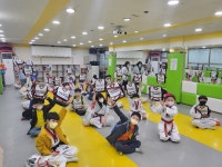 백일홍천지태권도