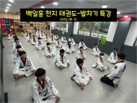 백일홍천지태권도