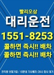 내포대리운전10프로적립전국대리운전탁송대리운전차량탁송기사