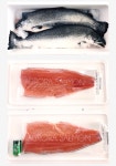 왕성수산