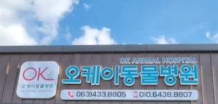 오케이동물병원