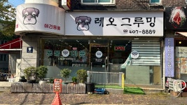 레오그루밍