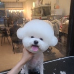 더예쁘개