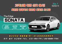 VIP렌트카 일산본점